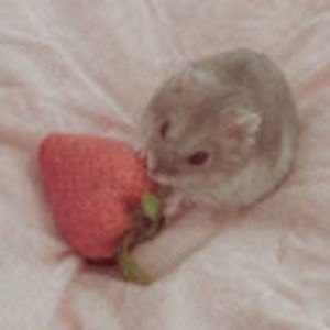 Meet your Posher, Veronica